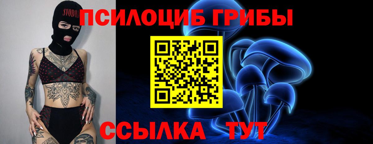 Псилоцибиновые грибы Psilocybe  Псилоцибиновые грибы прущие грибы  Татарск  Вход с VPN 